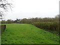 Grazing and drain, Haverholme Bridge