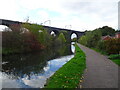 Viaduct View