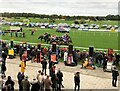 TF9228 : A view over Fakenham Racecourse in Norfolk by Richard Humphrey