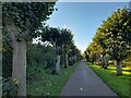 Church Walk, Watton