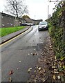 Fallen leaves, Plas Cae Llwyd, Llanbradach