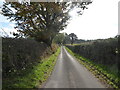 Narrow rural lane