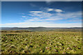 NY8703 : Moorland south of Robert's Seat by Andy Waddington