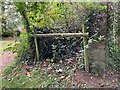 Disused Path at Tyntesfield