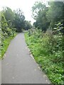 Cycle path by Monmouthshire and Brecon Canal