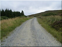 NC2908 : Track giving access to Loch Ailsh and Benmore Lodge by Peter Wood