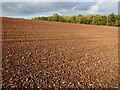 Ploughed field