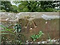 Macclesfield Canal, bridge 83