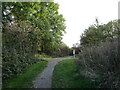 Crossing of paths, Brierley Forest Park