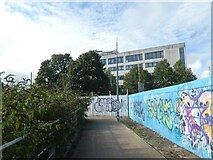 ST3187 : Graffiti on hoardings by riverfront path, Newport by David Smith