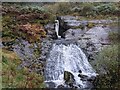 SN8388 : Waterfall on the River Severn (Hafren Forest) by Fabian Musto
