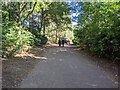 Path in Bedford Park