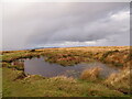 Red Pool, Reynoldston