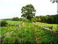 SE1813 : Footpath near Woodsome Lees, Farnley Tyas by Humphrey Bolton