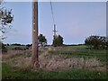 Field by Chatham Hall Lane, Little Waltham