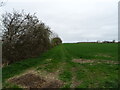 TF1641 : Farm track near Car Dyke Farm by JThomas