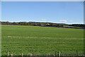 Stour Valley farmland