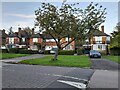 Brim Hill, Hampstead Garden Suburb