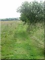 Path at Cairnsmill Reservoir