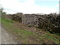 SD4988 : Repaired dry stone wall by Eirian Evans