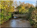 River Stour in Kidderminster