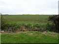 Crop field off Heckington Road