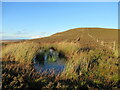 NT0745 : Boggy pool south-west of Black Mount summit by Alan O'Dowd