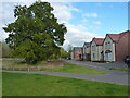 Houses between Stone Drive and Drabble Close