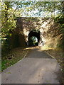 Railway accommodation bridge