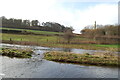 River Crane spilling into the road