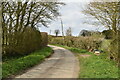 Narrow rural lane