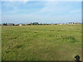 Ridge and furrow in a field west of Beadnell