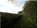 Bridleway to Rolleston