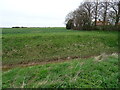 TF1529 : Drain and farmland near Poplar Farm by JThomas
