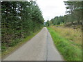 Tree-lined minor road near to Balrishallich and Wester Strathy