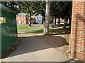 Desire lines between the yew trees by Station Approach, Royal Leamington Spa