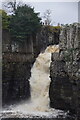 NY8828 : High Force on the River Tees by Mike Pennington