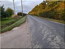 TL3858 : Long Road north of Comberton by David Howard