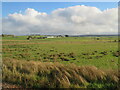 View towards Lampits, near Carstairs Junction