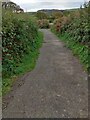 Tarka Trail shared path near Meeth