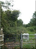ST3084 : Start of a somewhat overgrown path by David Smith