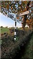 Cumberland County Council signpost at T-junction south of The Shieling