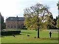 Exercising the dogs, Tredegar House Country Park