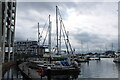 View of boats moored up in Neptune Marina from Wherry Quay #8