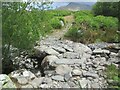 SH6465 : Stone slab footbridge over stream, Gwernydd by Meirion