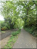 ST2788 : Shared-use track by Monmouthshire and Brecon Canal in Cefn by David Smith
