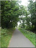 ST2788 : Trees overhanging the shared-use track by Monmouthshire and Brecon Canal by David Smith