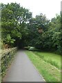 Shared use path by Monmouthshire and Brecon Canal near Pen y Fan