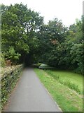 ST2589 : Shared use path by Monmouthshire and Brecon Canal near Pen y Fan by David Smith