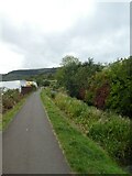 ST2391 : Shared path by Monmouthshire and Brecon Canal in Penrhiw by David Smith